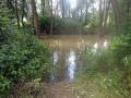 28. Juli: Das Hochwasser hat, wenn auch nur am Rand, den Spielplatz erreicht.(Foto: Evelyn Simson)