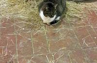 13. Dezember - Foto: Sandy