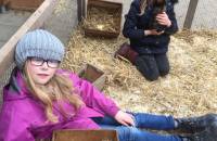 13. März: Meerschweinchen-Pflege ganz entspannt. (Foto: Evelyn Simson)