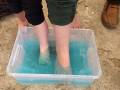 6. August: Buntes Wasser (Foto: Evelyn Simson)