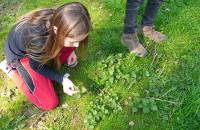 8. April - 1. Wildnistag (Foto: Evelyn Simson)