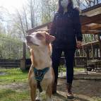 25. April: Anastasia hatte heut ihren Hund Lisa dabei und hat etwas über Hunde erzähl. Die Kinder waren sehr interessiert. (Foto: July Krause)