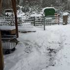 9. Februar: Auch am Tierhaus muss geschippt werden. (Foto: Hellas Adlung)
