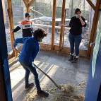 21. Februar: Yannis, Noah und Dilara misten den Außenstall der Kaninchen und Meerschweinchen aus. (Foto: Laura Müller)