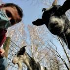 24. Februar: Ziegenselfie. July mit Stick und Mimi. (Foto: July Krause)