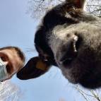 24. Februar: Oh. Seh ich denn wirklich so aus? (Foto: July Krause)