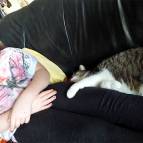 4. Januar: Miezefee gefällt es gut bei Maike und Charlize. Sie bleibt noch dort im Urlaub. (Foto: Maike Kolatschke)