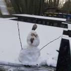 7. Januar: Ein wundervoller Schneemann namens Olaf. Schönheit liegt im Auge des Betrachters. (Foto: July Krause)