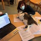 25.Januar: Katze müsste man sein. (Foto: Hellas Adlung)
