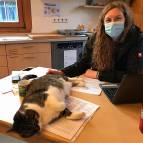 25.Januar: Katze müsste man sein. (Foto: Hellas Adlung