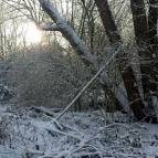 31. Dezember - Foto: Hellas Adlung