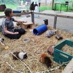 6. Juni: Swantje und die vielen Tierchen. (Foto: July Krause)
