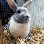 6. Juni: Hallo, ich bin es, Polly. (Foto: July Krause)