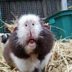 6. Juni: Hab ich da was? (Foto: July Krause)