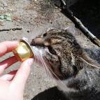 13. Juni: Mhh, lecker Milch. (Foto: July Krause)