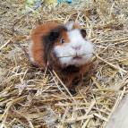 16. Juni: Hallo, ich bin es, Schayla. (Foto: July Krause)