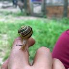 24. Juni: ... und sie in Sicherheit gebracht. (Foto: Laura Müller)