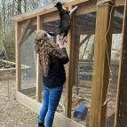 4. März: Laura gibt Miezefee eine Räuberleiter. (Foto: Dilara)