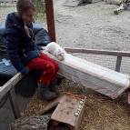 18. März: Loula läuft die Rampe runter auf der Suche nach etwas zu essen. (Foto: Anastasia)