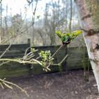 22. März: Der Frühling naht. (Foto: Hellas Adlung)