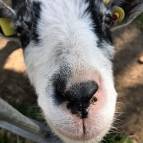 31. März: Hast du was zum fressen?!? (Foto: Laura Müller)