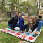 2. Mai: Twister.