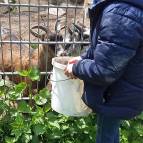 8. Mai: Was gibts es denn da Leckeres? Brownie und Mimi sind neugierig. (Foto: Hellas Adlung)