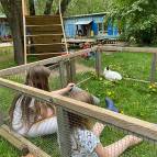 10. Mai: Sommerzeit. Heute war es so warm, dass wir die Meerschweinchen und ein Kaninchen nach Draußen setzen konnten. (Foto: Fabian Wilke)