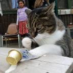 16. Mai: Miezefee trinkt ihre Milch. (Foto: July Krause)