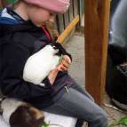29. Mai: Maria füttert Lexi mit Löwenzahn. Henry ist auch dabei. (Foto: Hellas Adlung)