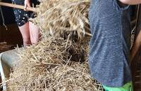 3. August: Beim Ausmisten im Kaninchenstall helfen wir gerne mit.