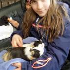 15. Februar: Lexi und Schokoline sind auch richtig gute Freunde und kuscheln zusammen. (Foto: Hellas Adlung)