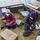 6. März: Jetzt erstmal eine Runde mit den Tieren kuscheln. (Foto: Laura Müller)