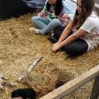 15. März: Mal sehen, ob Lexi und Schoki aus ihren Häuschen kommen. (Foto: Hellas Adlung)