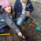 16. März: Hier pflanzen wir die Petersilie in unser Kräuterbeet. (Foto: Hellas Adlung)