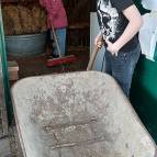 21. März: Hey, wir machen hier wieder gründlich sauber! (Foto: Hellas Adlung)