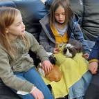 28. März: Ein kleines Stück trockenes Brot mögen die Meerschweinchen auch gerne. (Foto: Hellas Adlung)