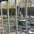 28. Ziege Mimi hofft, dass die Beiden von da oben herunterkommen und ihr etwas Leckeres geben. (Foto: Hellas Adlung)