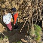 28. März: Wie groß die Wurzeln sind. Und wie merkwürdig sie riechen. (Foto: Fabian Wilke)