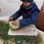 17. Oktober: FiBS-Herbstaktion Tag 1