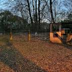 7. Dezember - Foto: Fabian Wilke