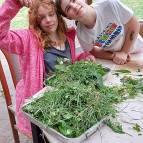 4. Juli: Hallo, wir haben hier eine leckere Erdbeere von unserem Hochbeet. Wollen wir beide die uns teilen oder den Tieren zu futtern geben? (Foto: Hellas Adlung)