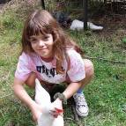 6. Juli: Das Huhn  lässt sich sogar vorsichtig streicheln. (Foto: Hellas Adlung)