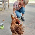 10. Juli: So weich fühlen sich die Hühner an. (Foto: Hellas Adlung)