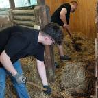 13. Juli: Heute hat unser Spielplatzteam gemeinsam den Ziegenstall ausgemistet, was eine längere Aktion ist. (Foto: Hellas Adlung)