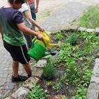 6. Juni: Nun sind alle neuen Kräuter eingepflanzt und werden gut gegossen, damit sie schön anwachsen. (Foto: Hellas Adlung)