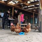 28. März: Ab nach draußen. FiBS-Osterferienaktion Tag 2