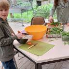 15. Mai: Es macht Spaß zusammen das Futter für die Meerschweinchen und Kaninchen vorzubereiten. Ruccola mögen sie besonders gerne. (Foto: Hellas Adlung)