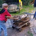 9. November: Wir bringen Brennholz für das Herbstfeuer am Sonntag. auf die große Wiese. (Foto: Hellas Adlung)