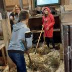 9. November: Zusammen macht es richtig Spaß die Meerlis und Kaninchen auszumisten. (Foto: Hellas Adlung)